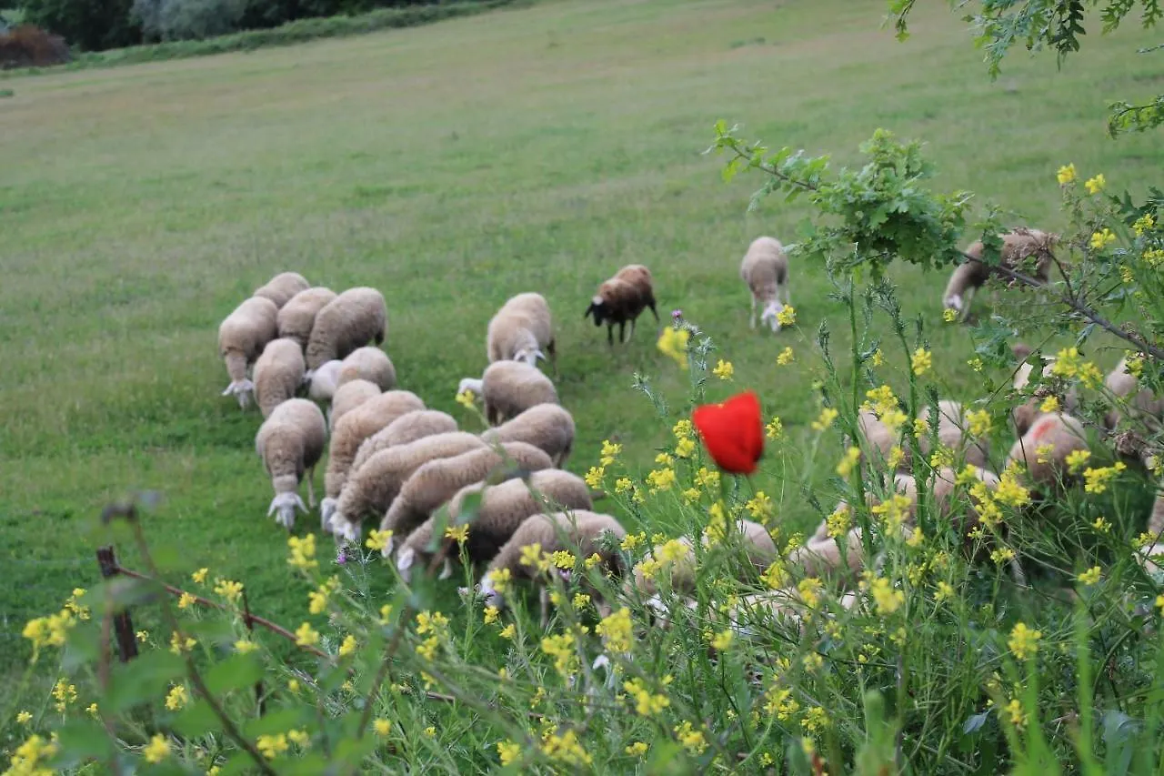 Agriturismo Cantagalli San Quirico d'Orcia 0*,  Italy